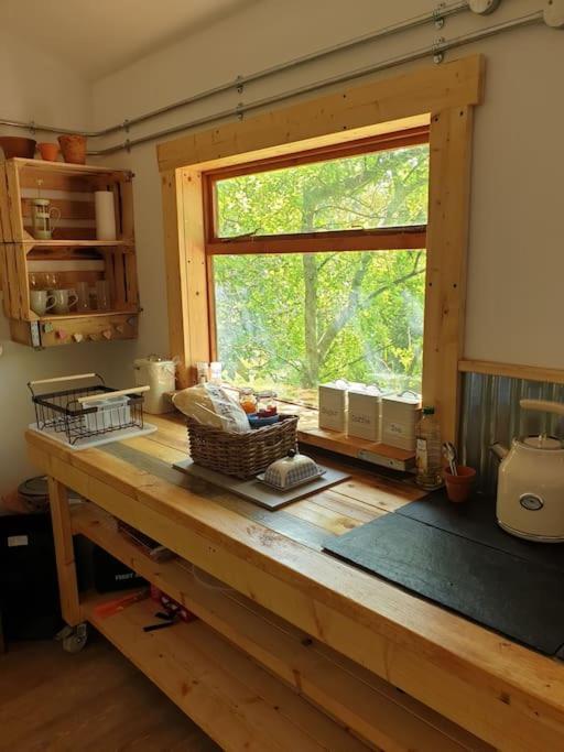 The Potting Shed Near Tenby, 100" Projector, Four Poster Bed, On-Site Hot Tub Access Via Spa Pack, Breakfast Экстерьер фото